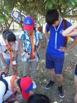 SAM_3954