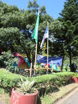 CIMG3726