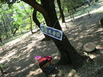 CIMG3742