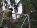 IMG_0204