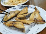 IMG_20260509_142128