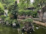IMG_20260509_152051
