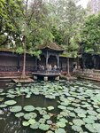 IMG_20260509_153419