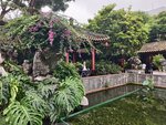 IMG_20260509_153801