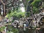 IMG_20260509_154749
