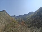 IMG20250322150752