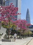 IMG20240221120528