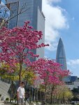 IMG20240221120904