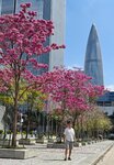 IMG_20240222_105346