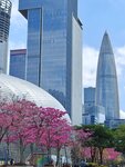 IMG_20240222_105537