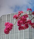 IMG_20240222_105623