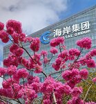 IMG_20240222_105824