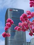 IMG_20240222_105855