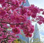 IMG_20240222_105916