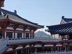 IMG20250112114707