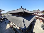 IMG20250112114855
