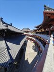 IMG20250112114906