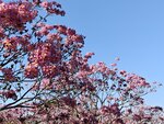 IMG20250112160844
