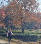 IMG20241221134505_polarr