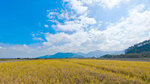 IMG20241027111113_polarr