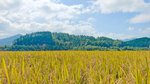 IMG20241027111416_polarr