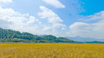 IMG20241027112605_polarr_1