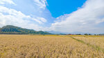 IMG20241027113348_polarr_1