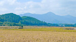 IMG20241027113405_polarr