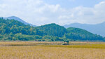 IMG20241027113409_polarr