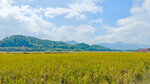 IMG20241027113841_polarr_1
