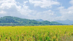 IMG20241027114018_polarr_1