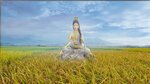 retouch_2024102210240039