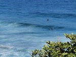IMG_20221012_150721
