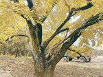 IMG_20231130_214345