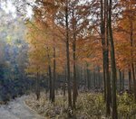 IMG20240106085626_polarr-01