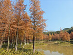 IMG20240106112354_polarr