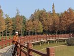 IMG_20240106_100329