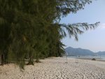 巽寮灣-天賜 白金堤,松樹後面就是鳳池島酒店