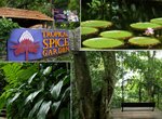 熱帶香料園 Tropical Spice Garden