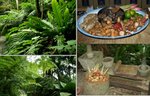 熱帶香料園 Tropical Spice Garden