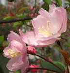 20080327_172