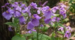 20080327_46