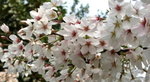 20080327_57