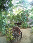 Alona Tropical resort(地圖中10處)