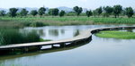 米埔濕地