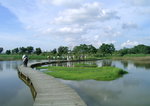 木浮橋,便於遊客欣賞水中動植物