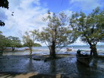 RIMG4681