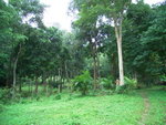 RIMG4825
