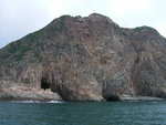 遊覽完畢,離開荒島了