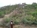 圖片四(由前面的指示牌走多五分鐘到達山頂,出現左右分叉路.右面為企業植林區